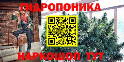 гашик Абинск