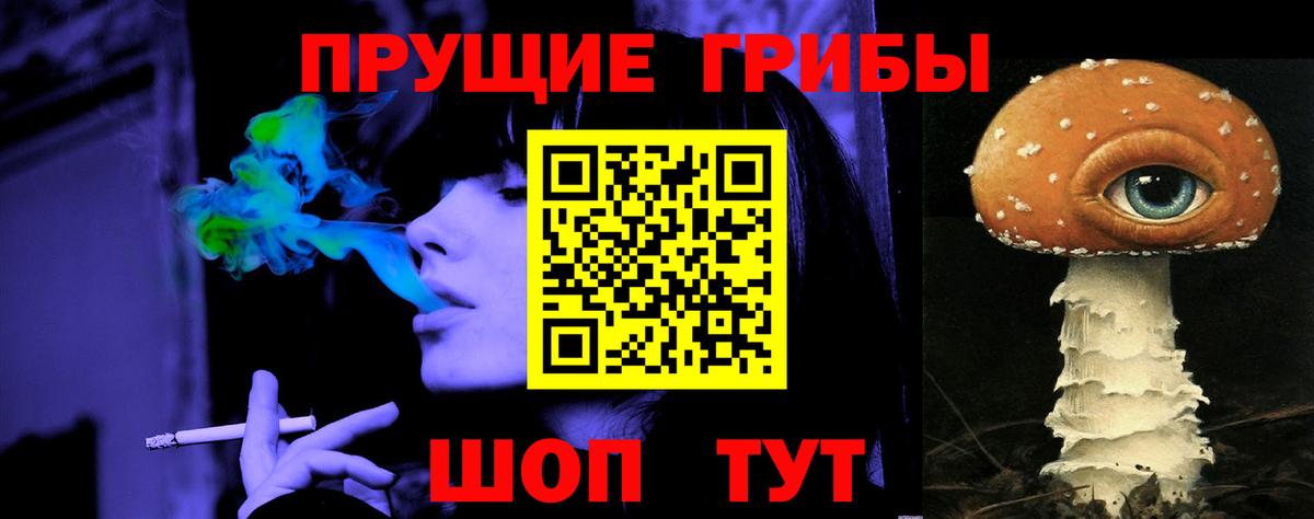 Алейск  Галлюциногенные грибы Cubensis  Вход с VPN 