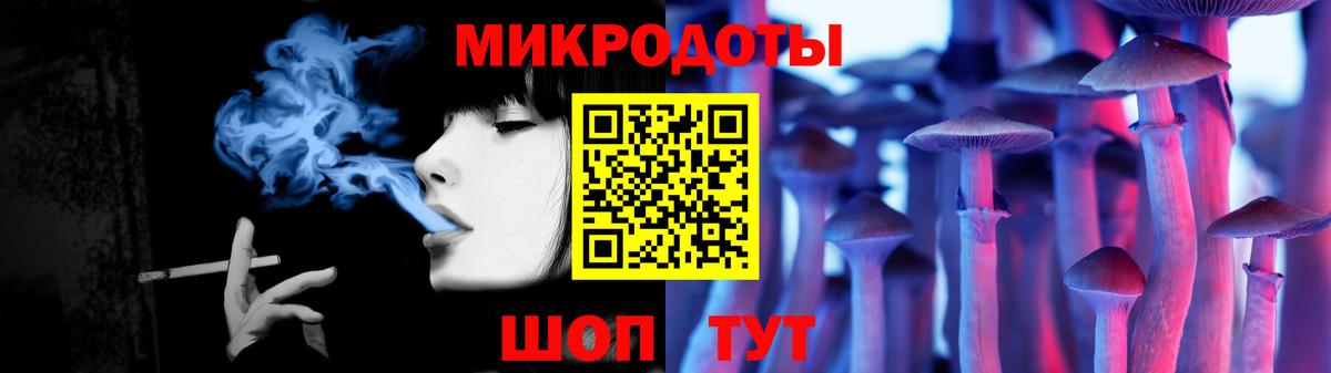 Галлюциногенные грибы Psilocybe Алейск