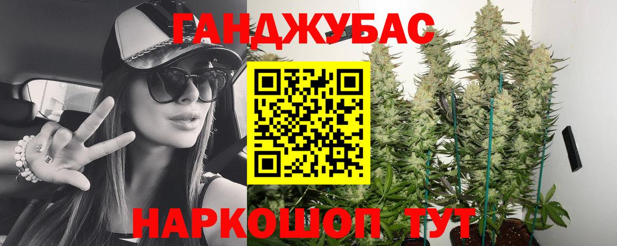 МАРИХУАНА сатива  Канабис конопля  Алейск  Конопля план 